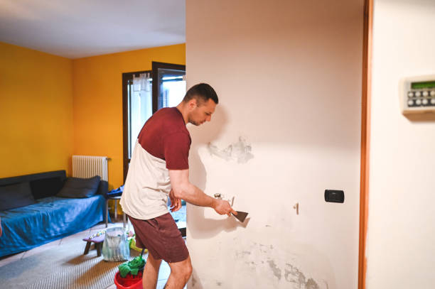 Best DIY Mold Remediation Support Services in West Hempstead, NY